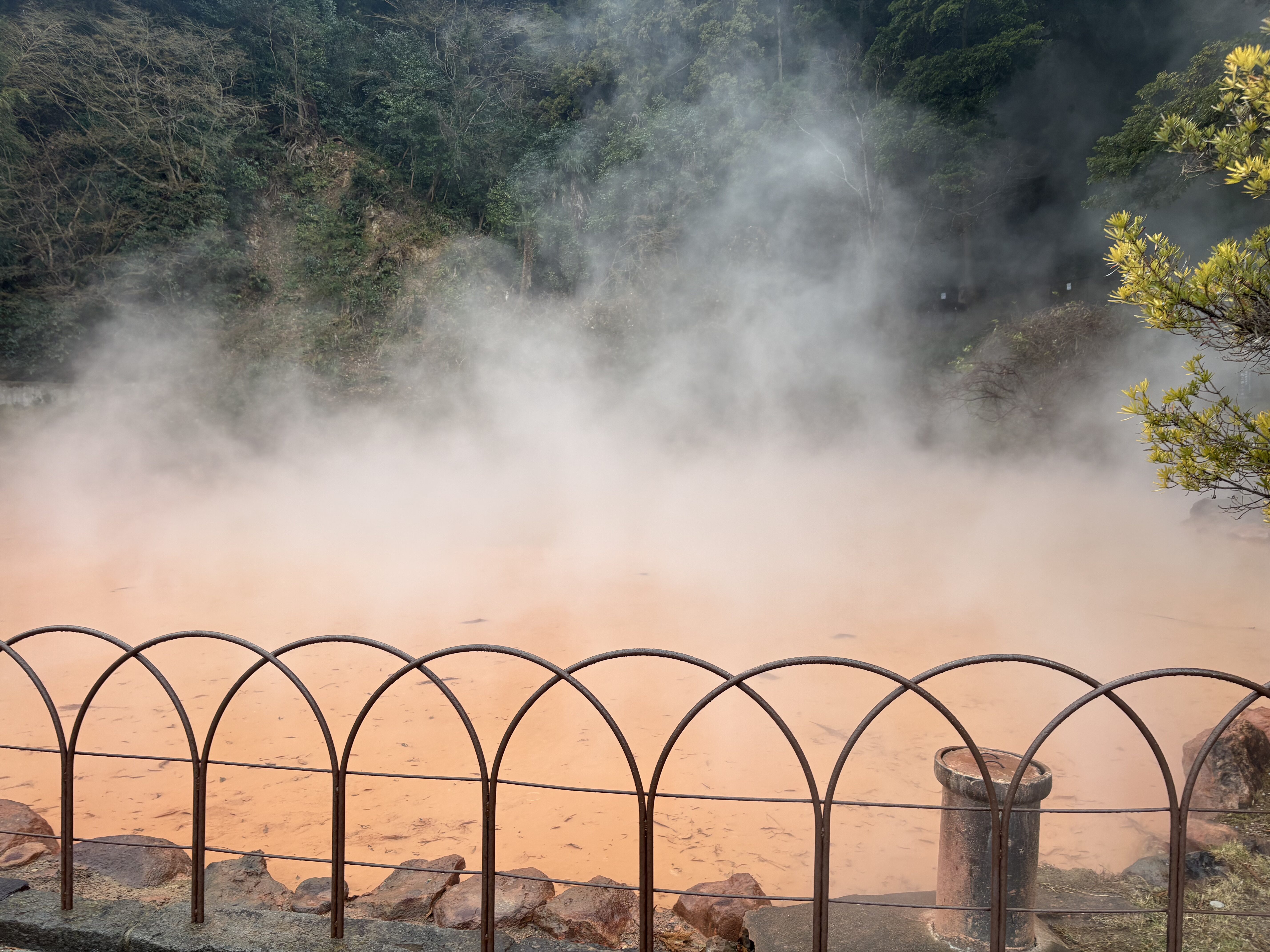 血の池地獄の赤茶色の池と湯けむり