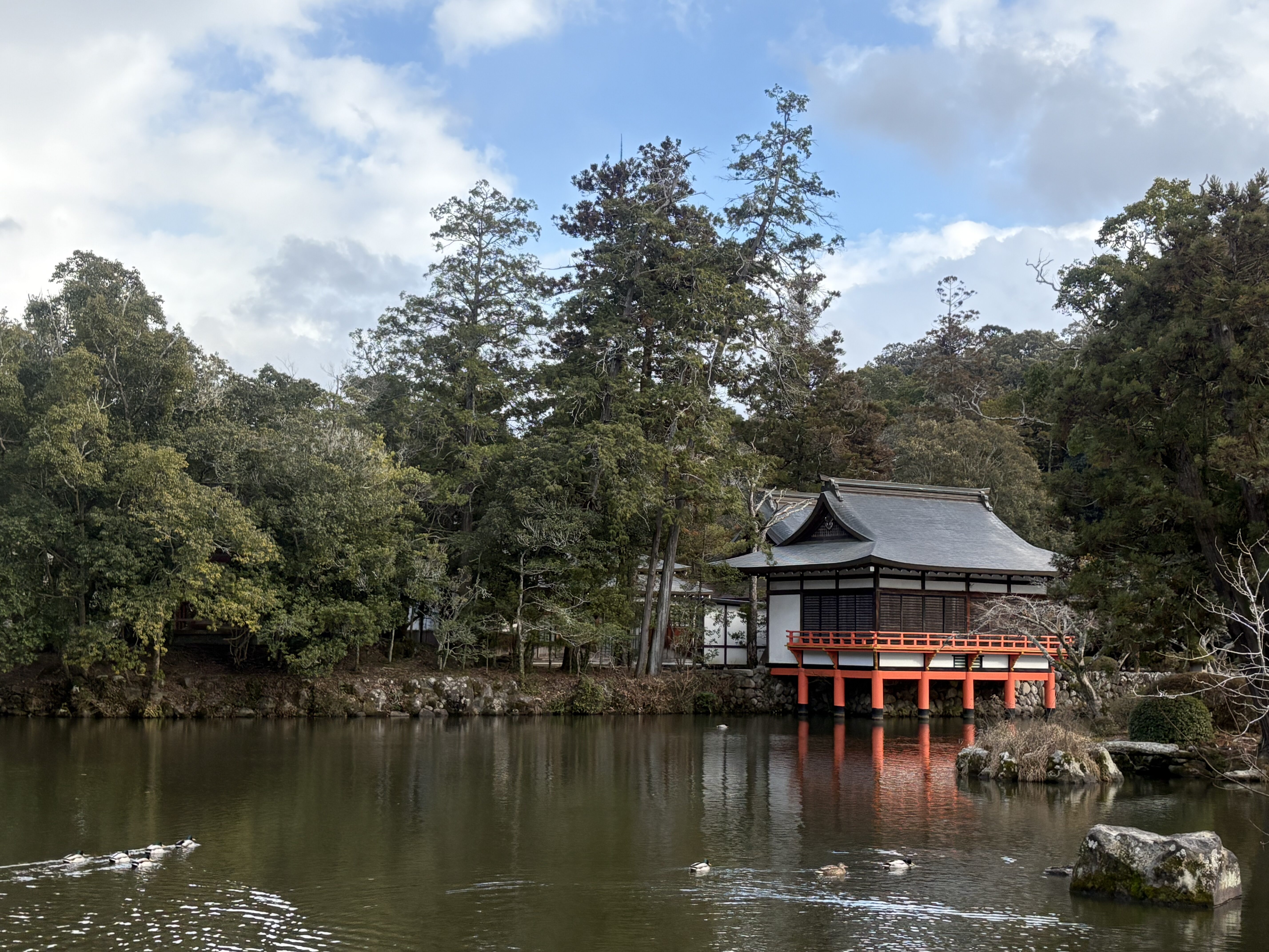 宇佐神宮の境内の池