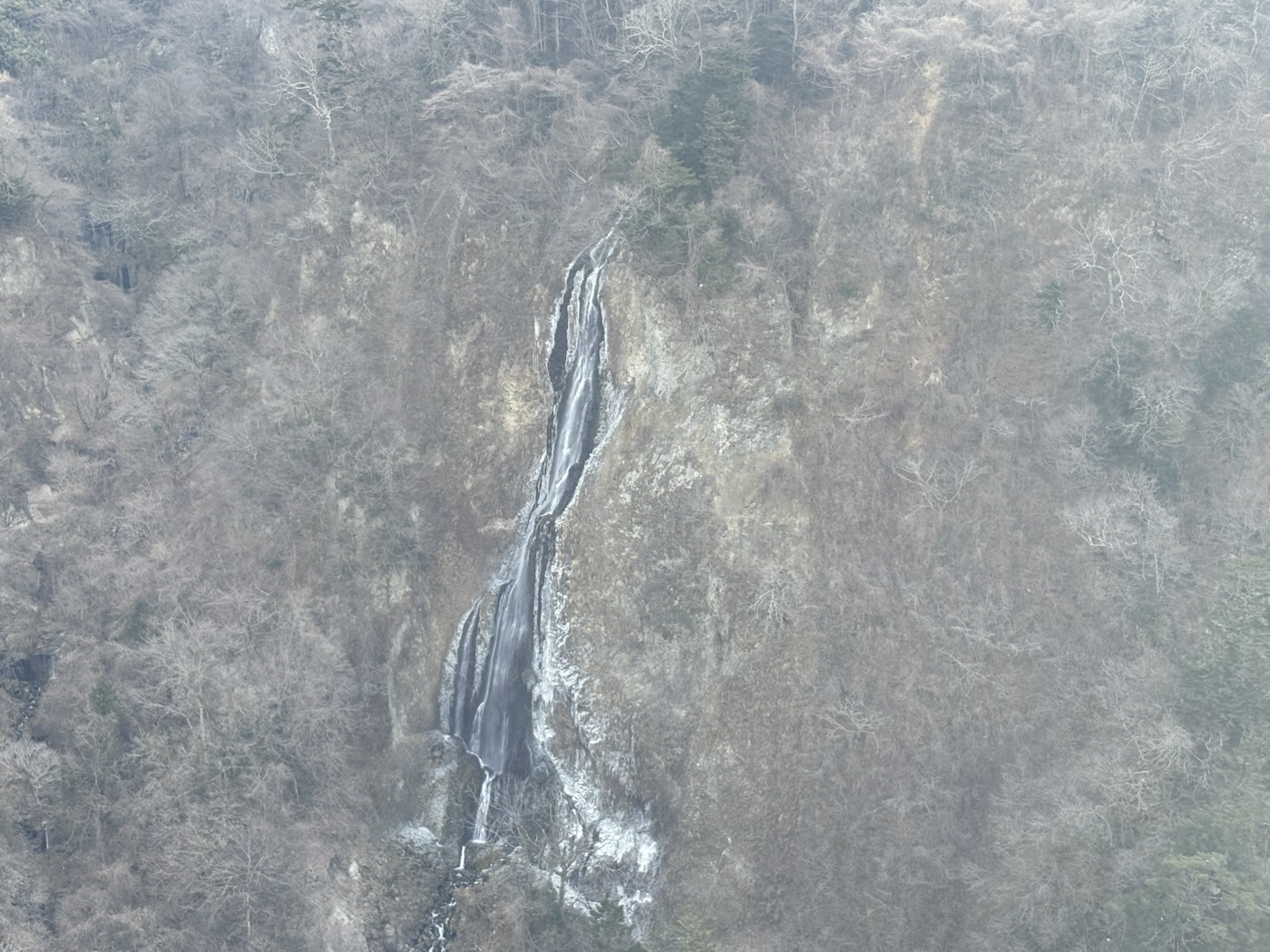 木々に囲まれた岩壁に見える凍った滝