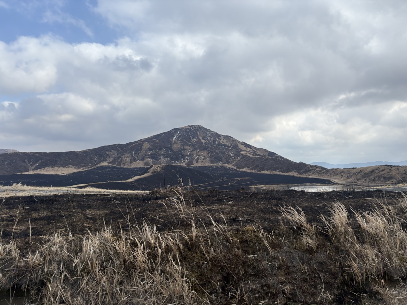 冬枯れの草地の向こうに広がる阿蘇の山並み