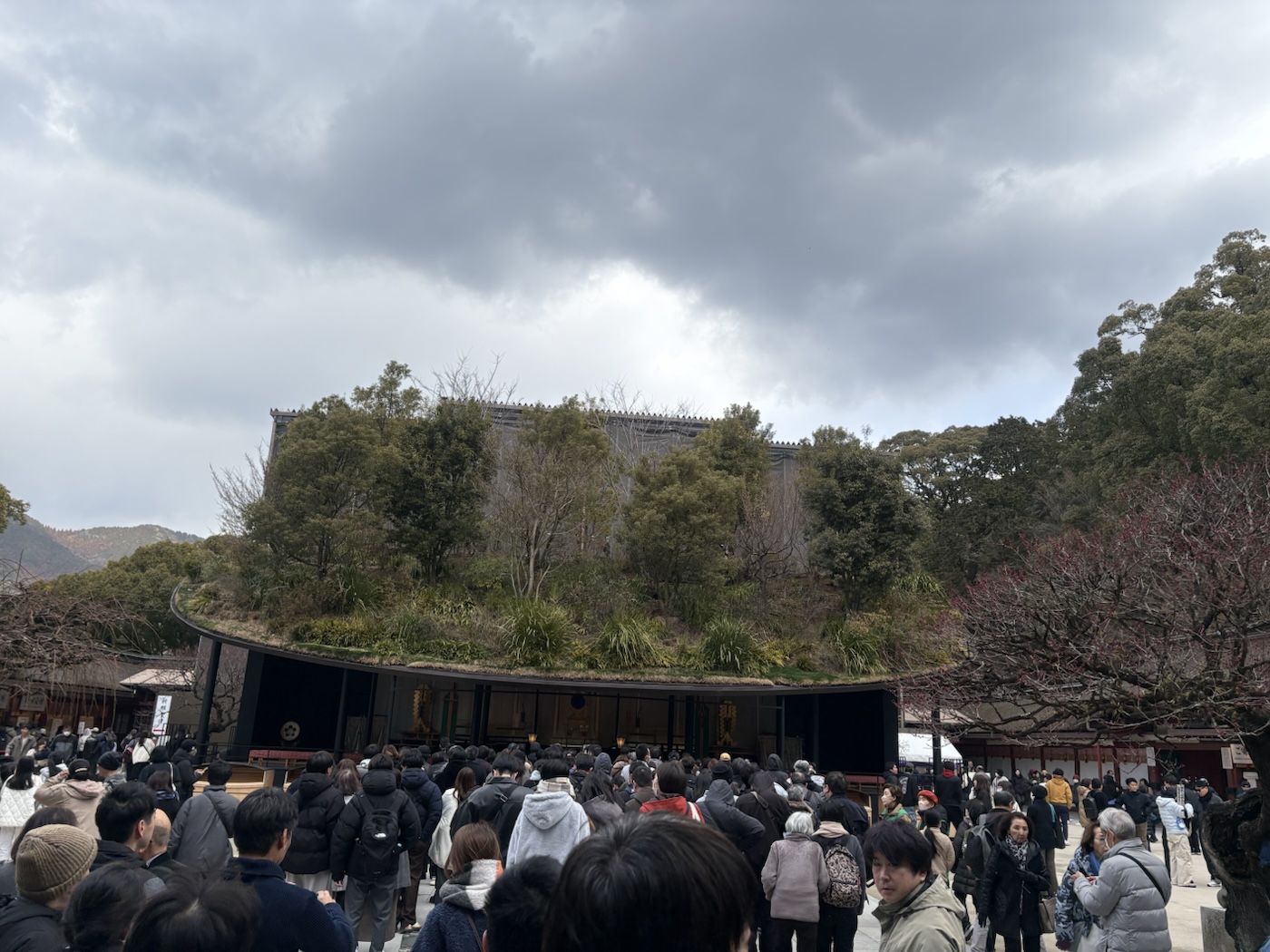 2025年2月の太宰府天満宮の仮殿と屋根の木々